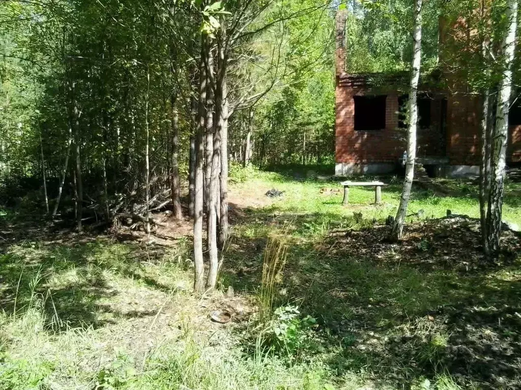 Участок в Свердловская область, Сысертский муниципальный округ, Колос ... - Фото 1