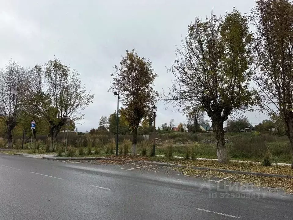 Участок в Новгородская область, Валдай Советский просп., 26 (12.0 ... - Фото 2