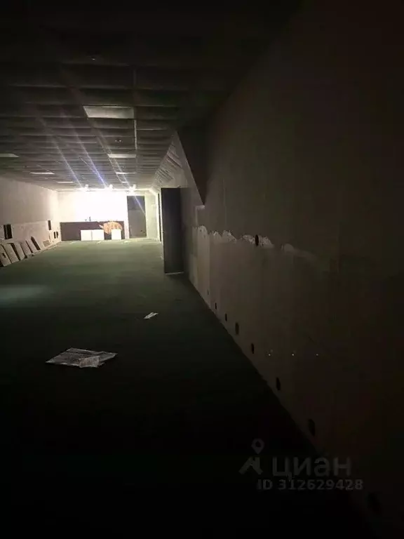 Помещение свободного назначения в Татарстан, Набережные Челны ул. ... - Фото 0