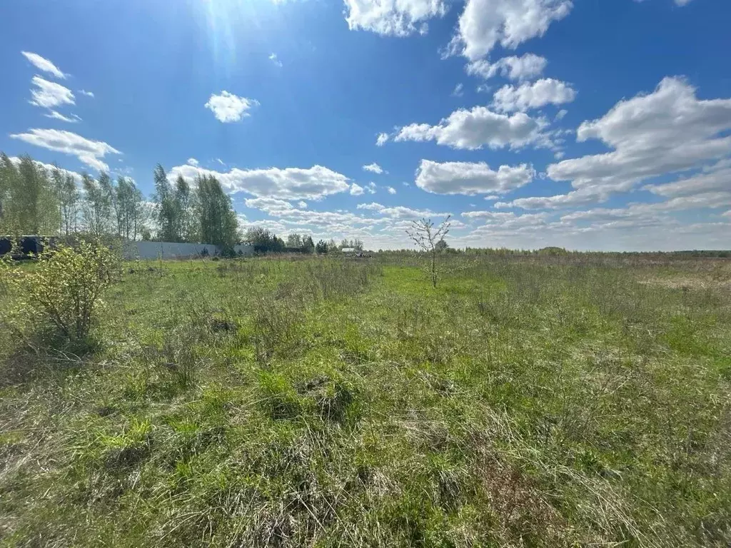 Участок в Московская область, Павлово-Посадский городской округ, д. ... - Фото 0