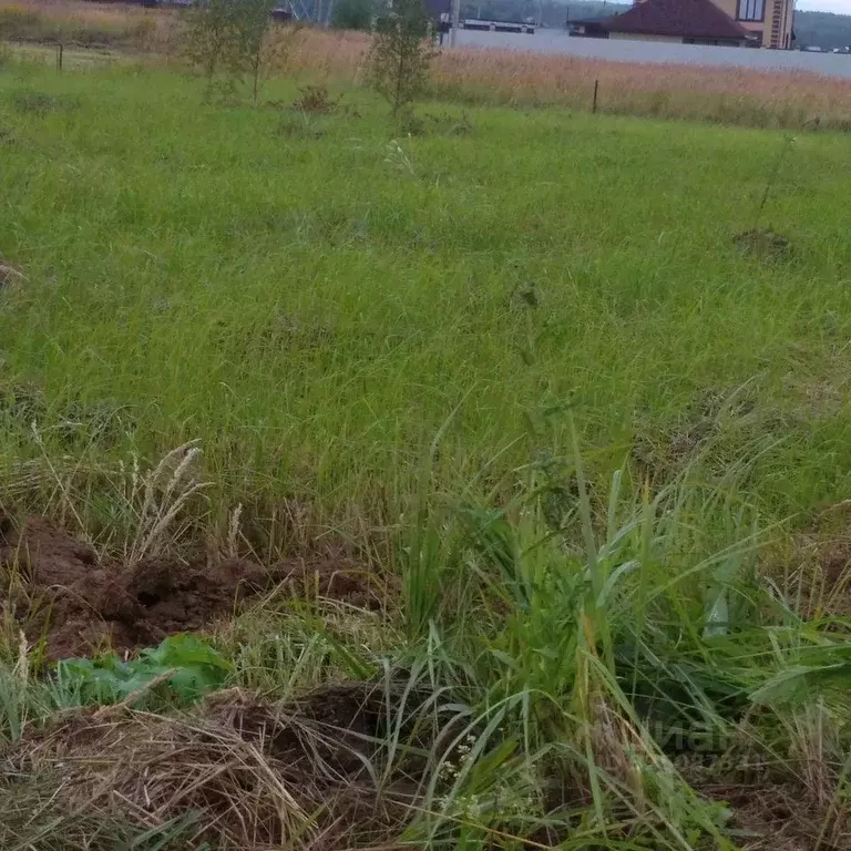 Участок в Московская область, Чехов муниципальный округ, д. Алферово ... - Фото 2