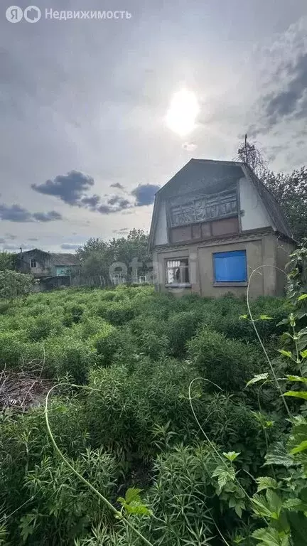 Дом в Воронеж, СНТ Садовод ВАСО (46.1 м) - Фото 0
