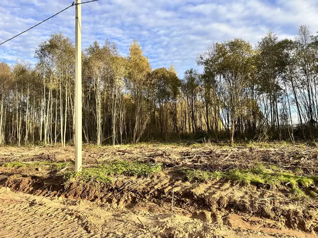 Участок в Вологодская область, Череповецкий район, д. Бурцево  (15.0 ... - Фото 2