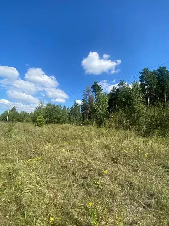 Участок в Татарстан, Лаишевский район, Никольское с/пос, с. Тарлаши ... - Фото 0