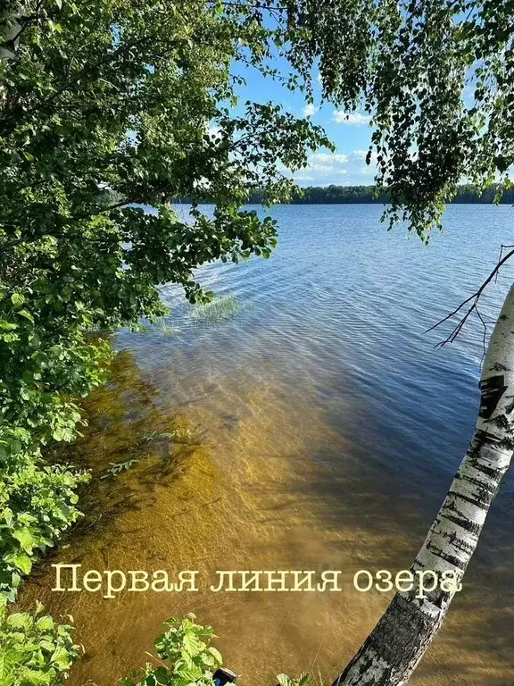 Участок в Новгородская область, Крестецкий муниципальный округ, д. ... - Фото 1