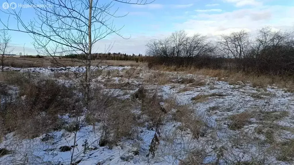 Участок в Свердловская область, Тугулымский муниципальный округ, ... - Фото 1
