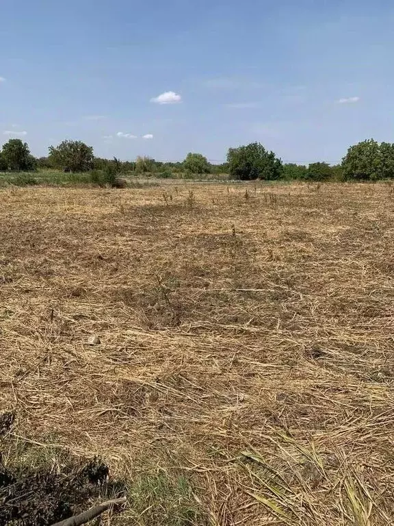 Участок в Краснодарский край, Краснодар Учхоз Кубань жилмассив,  (50.0 ... - Фото 2