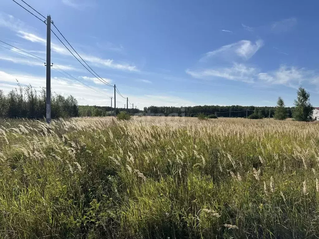 Участок в Московская область, Коломна городской округ, д. Большое ... - Фото 0