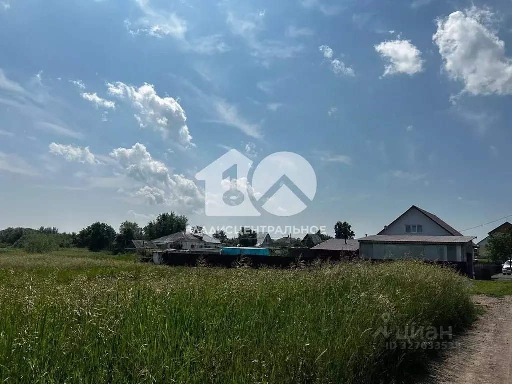 Участок в Новосибирская область, Коченевский район, с. Чистополье  ... - Фото 1