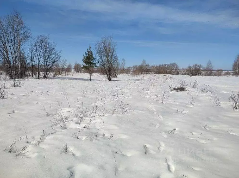 Участок в Московская область, Зарайск Зарайск муниципальный округ,  ... - Фото 1