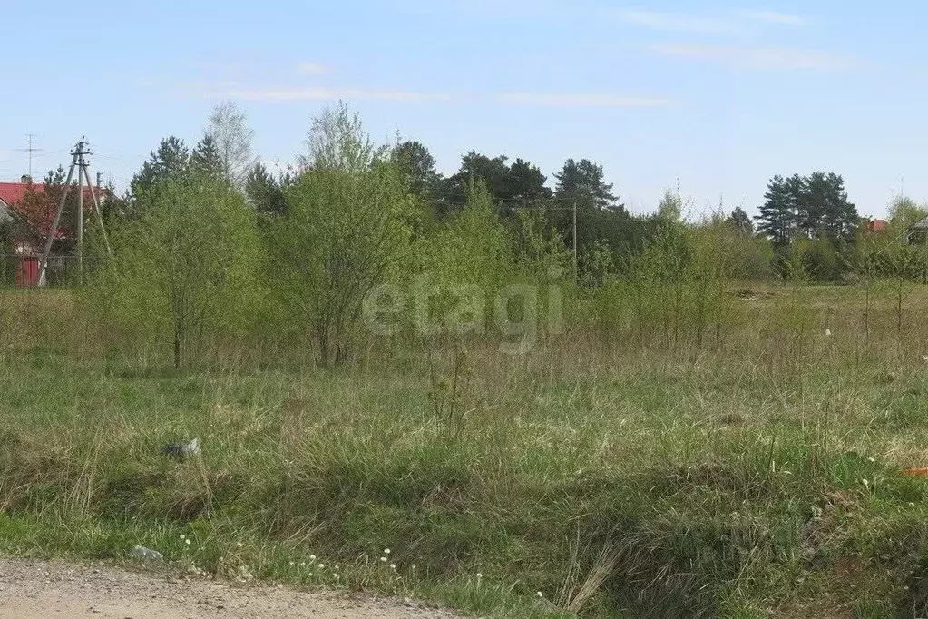 Участок в Тюменская область, Тюмень Поле Чудес садовое товарищество, ... - Фото 1