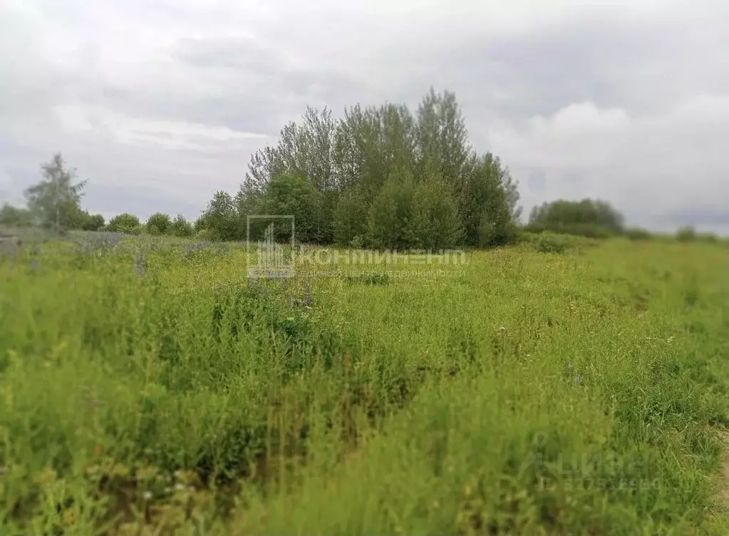 Участок в Владимирская область, Собинский муниципальный округ, д. ... - Фото 1