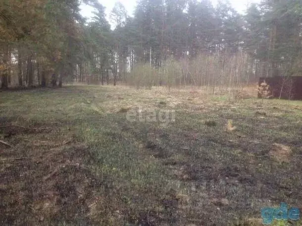 Участок в Калужская область, Юхновский муниципальный округ, Рыляки ... - Фото 1