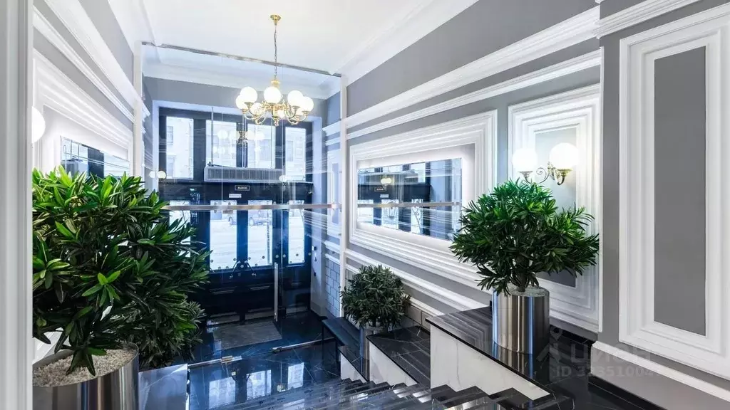 Офис в Санкт-Петербург ул. Жуковского, 63 (59 м) - Фото 2