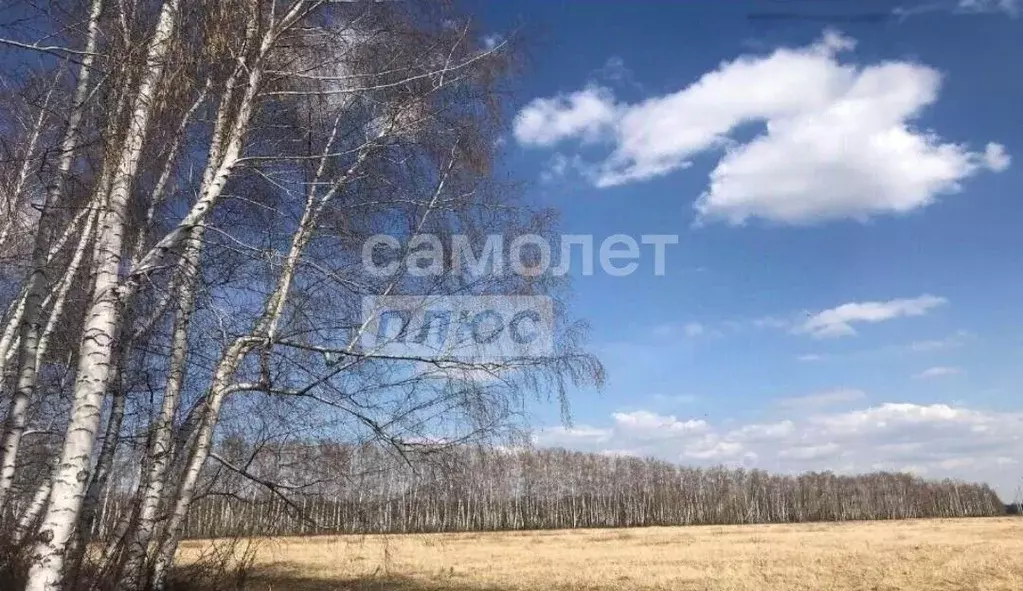 Участок в Рязанская область, Рязанский муниципальный округ, д. ... - Фото 1