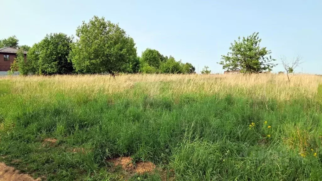 Участок в Калужская область, Тарусский район, Кузьмищево с/пос, д. ... - Фото 2