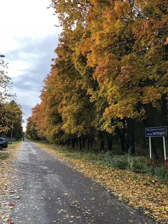 2-к кв. Московская область, Пушкинский городской округ, пос. ... - Фото 1