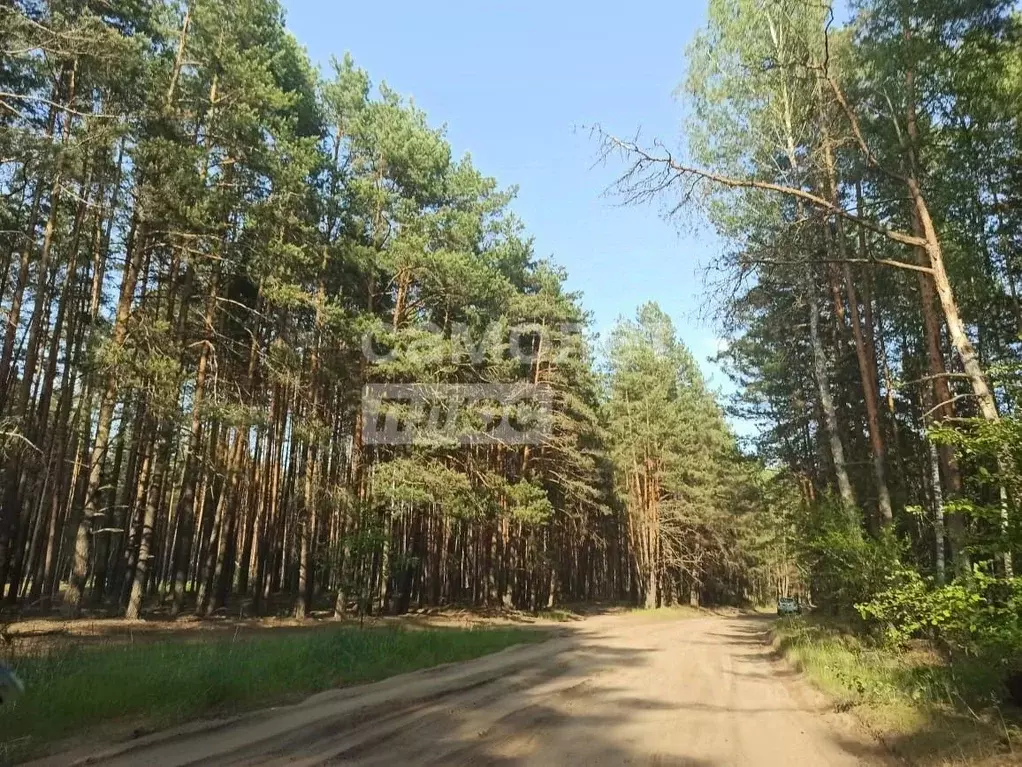 Участок в Калужская область, Перемышльский муниципальный округ, ... - Фото 1