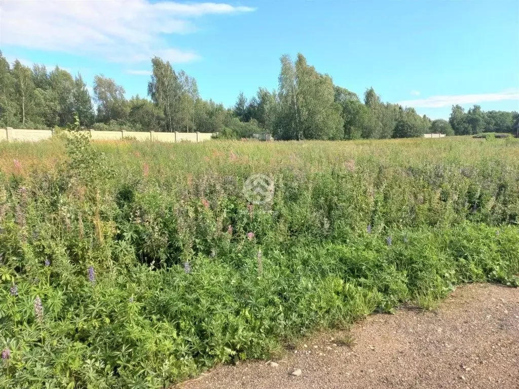 Участок в Московская область, Клин городской округ, Причал кп  (10.0 ... - Фото 1