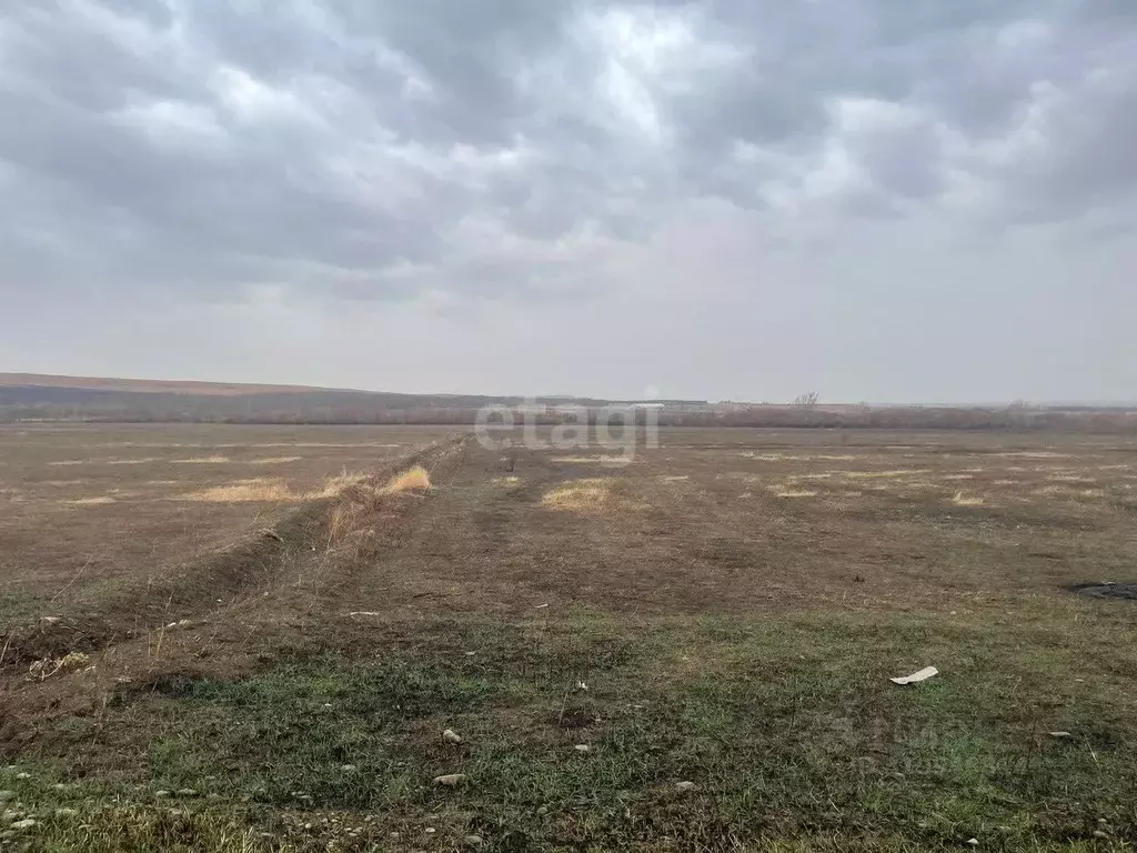 Участок в Ставропольский край, Ставрополь Приозерная ул. (6.0 сот.) - Фото 1