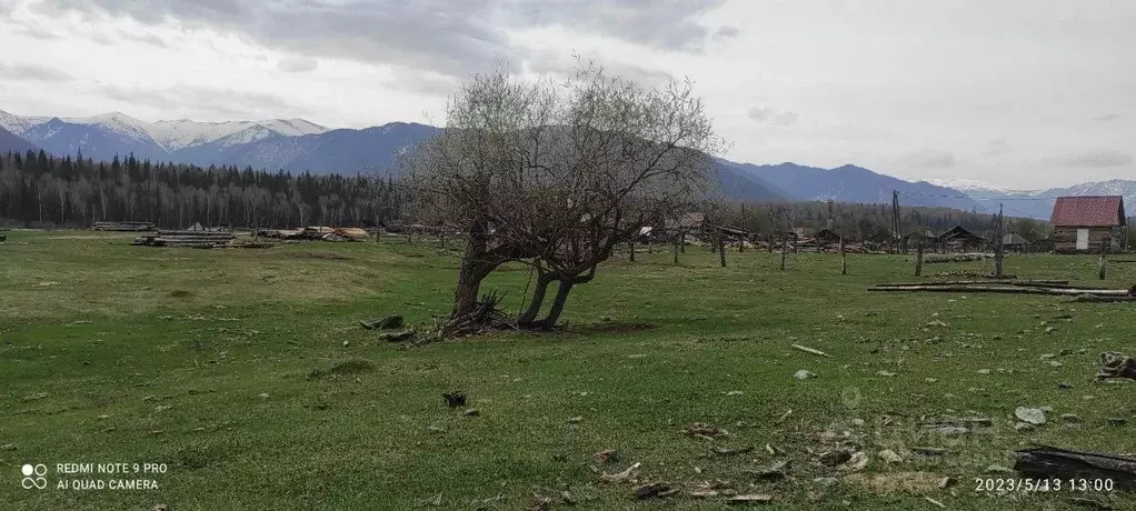 Участок в Алтай, Усть-Коксинский район, с. Тюнгур Набережная ул. (6.0 ... - Фото 2