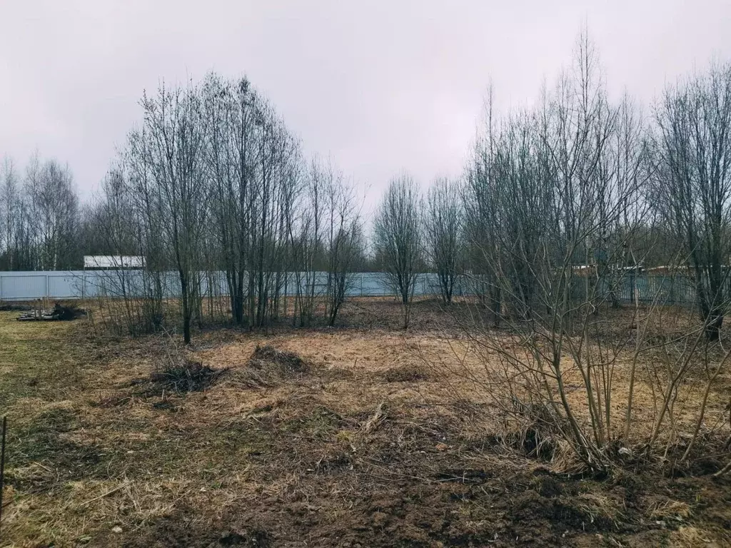 Продается участок в д. Антипино - Фото 2