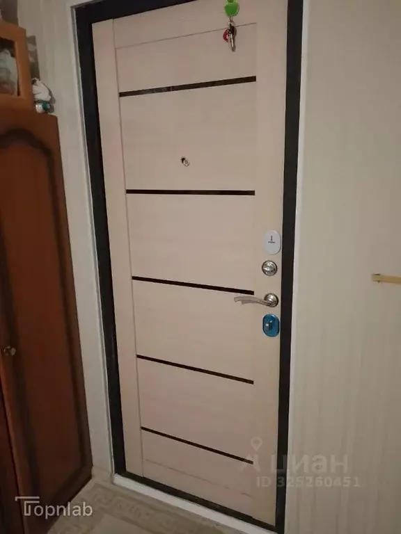 Комната Санкт-Петербург просп. Ударников, 49К2 (12.5 м) - Фото 1