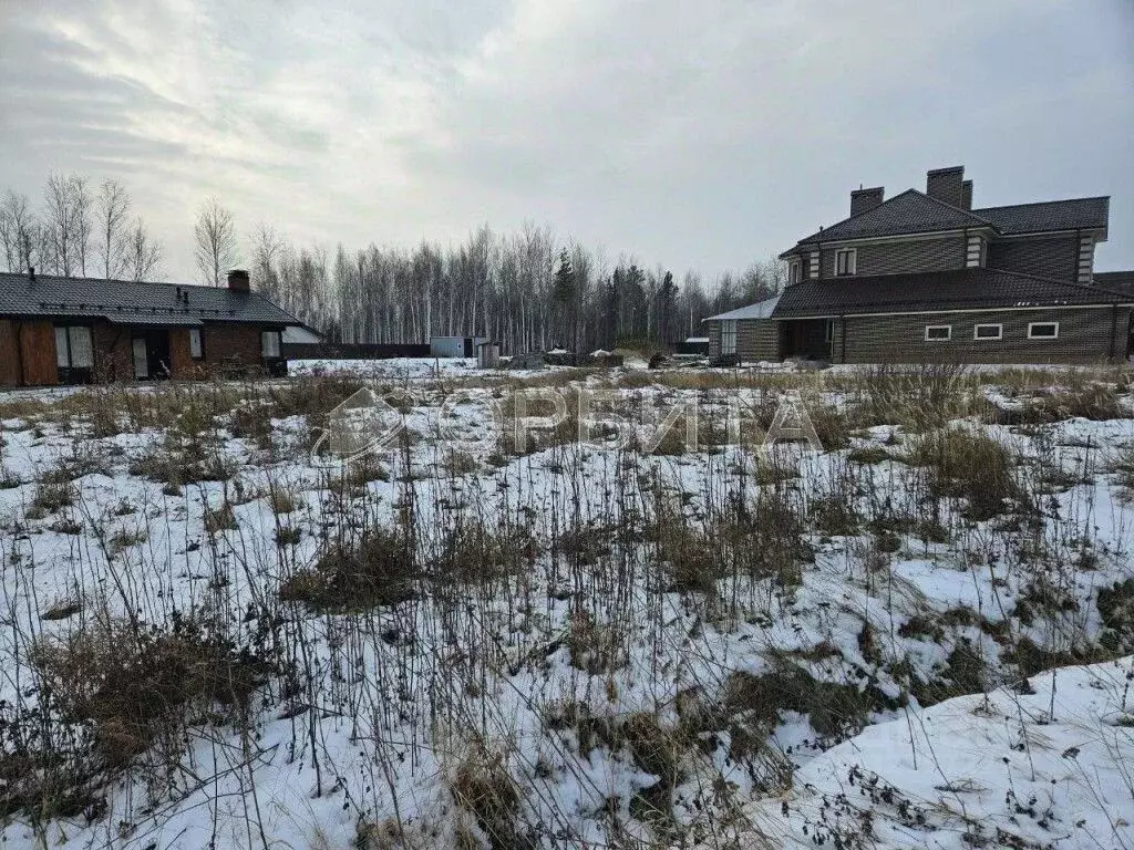 Участок в Тюменская область, Тюменский муниципальный округ, с. ... - Фото 2