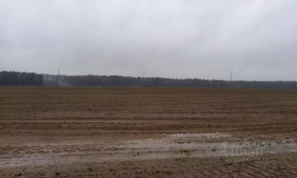 Участок в Московская область, Дмитровский муниципальный округ, д. ... - Фото 1