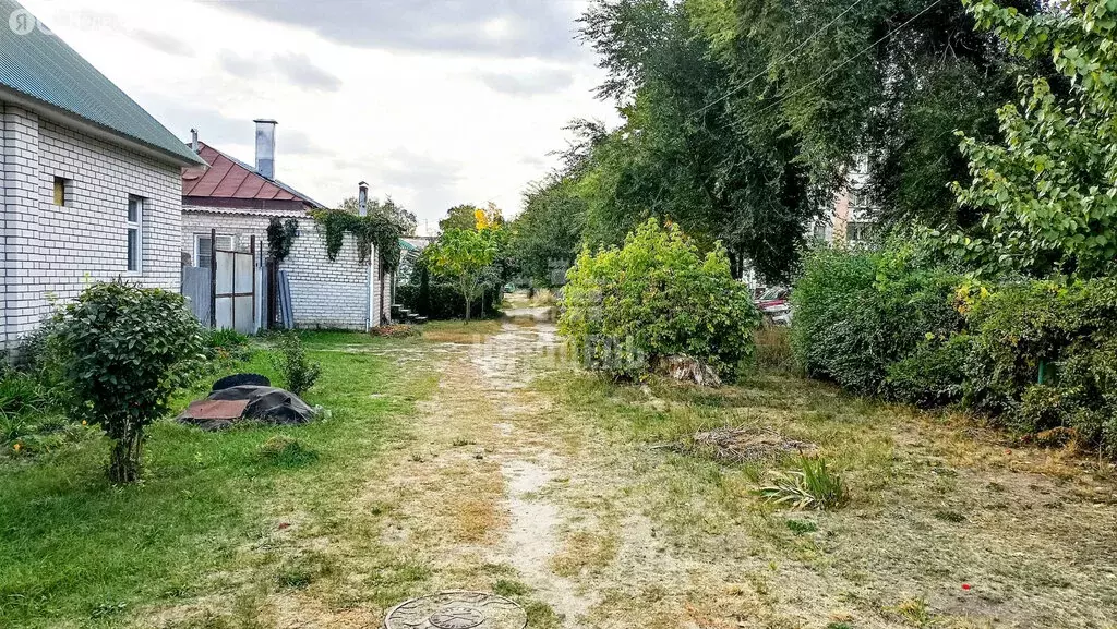 Участок в Воронеж, Паровозная улица (3.45 м) - Фото 1