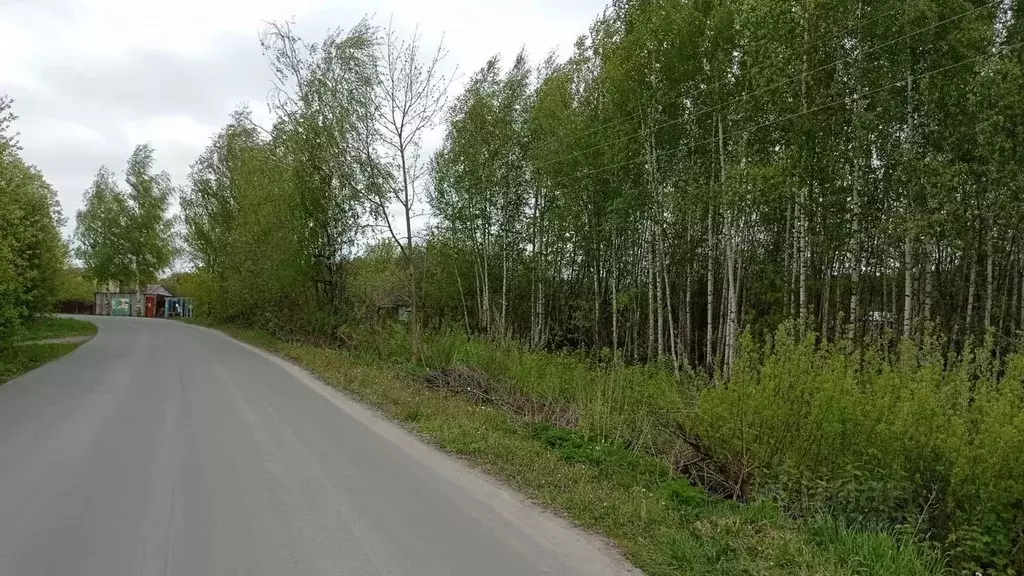 Участок в Владимирская область, Суздальский район, Новоалександровское ... - Фото 1