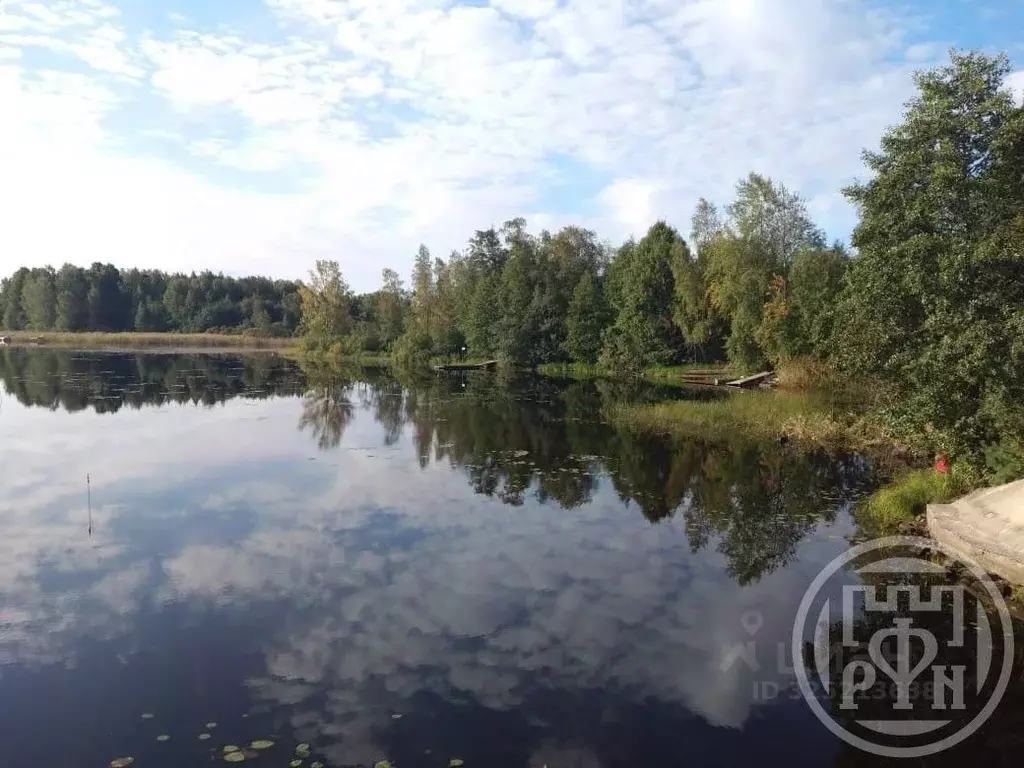Участок в Ленинградская область, Приозерский район, Ларионовское ... - Фото 1