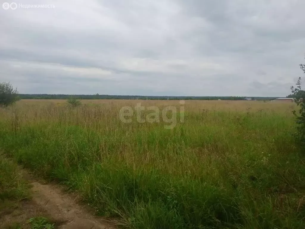 Участок в Глебовское, Сосновая улица (16.57 м) - Фото 0