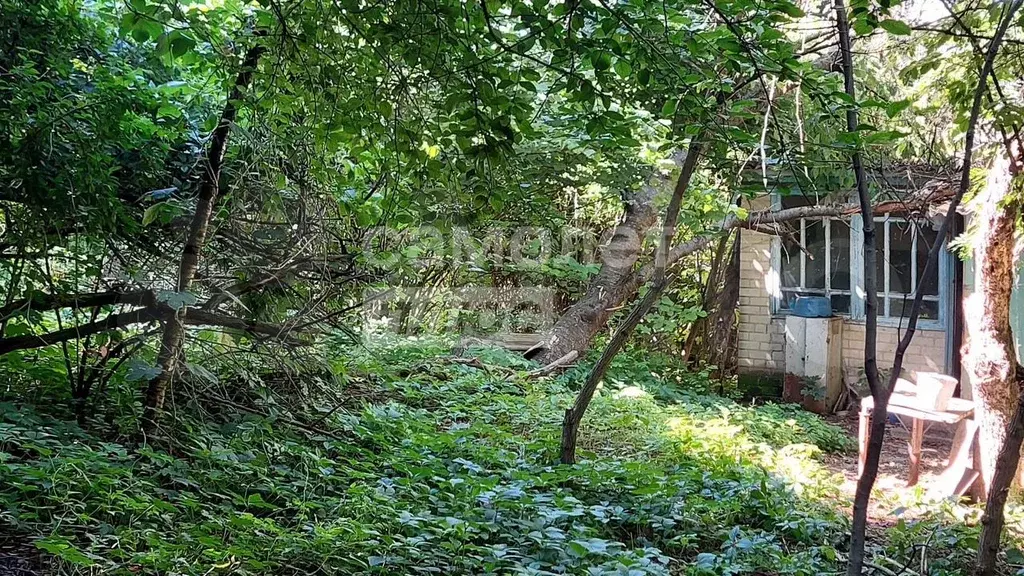 Дом 60 м на участке 6 сот. - Фото 1