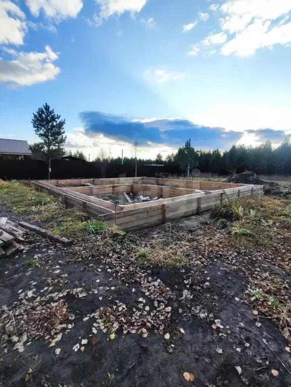 Участок в Курганская область, Шадринский муниципальный округ, с. Ключи ... - Фото 1