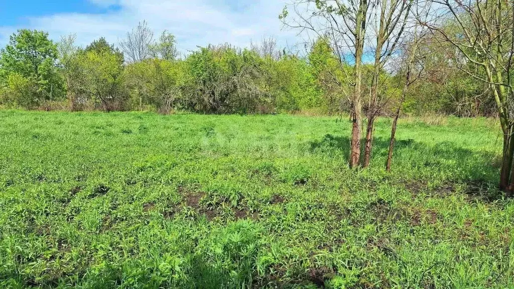 Участок в Калининградская область, Балтийск ул. Мечникова (10.0 сот.) - Фото 1