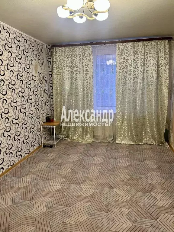 Комната Санкт-Петербург ул. Костюшко, 13 (37.2 м) - Фото 2