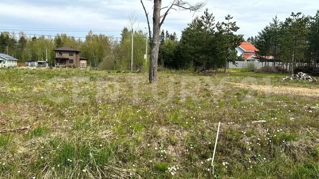 Участок в Ленинградская область, Ломоносовский район, Лебяженское ... - Фото 0