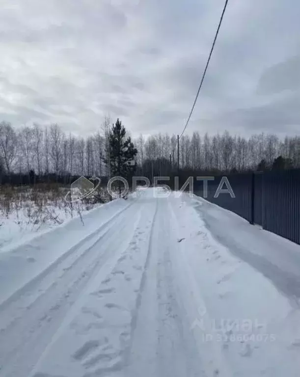 Участок в Тюменская область, Тюменский район, д. Патрушева Тюменская ... - Фото 0