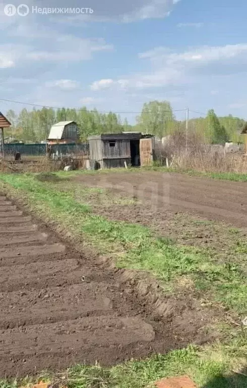 Участок в Бердск, СНТ Ива, 18-я улица (5.7 м) - Фото 0