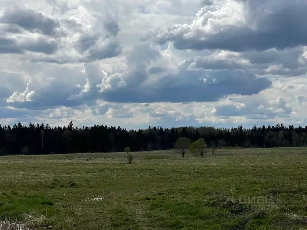 Участок в Московская область, Клин городской округ, д. Никольское  ... - Фото 1