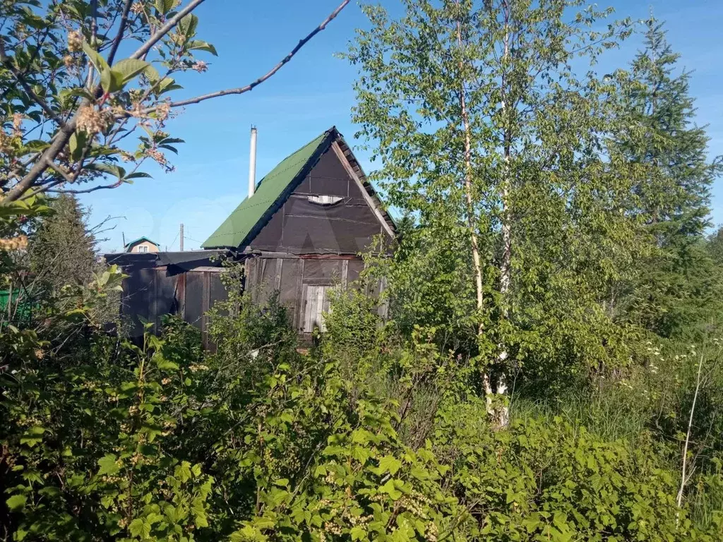 Купить Дачу В Архангельске Приморский Район Катунино