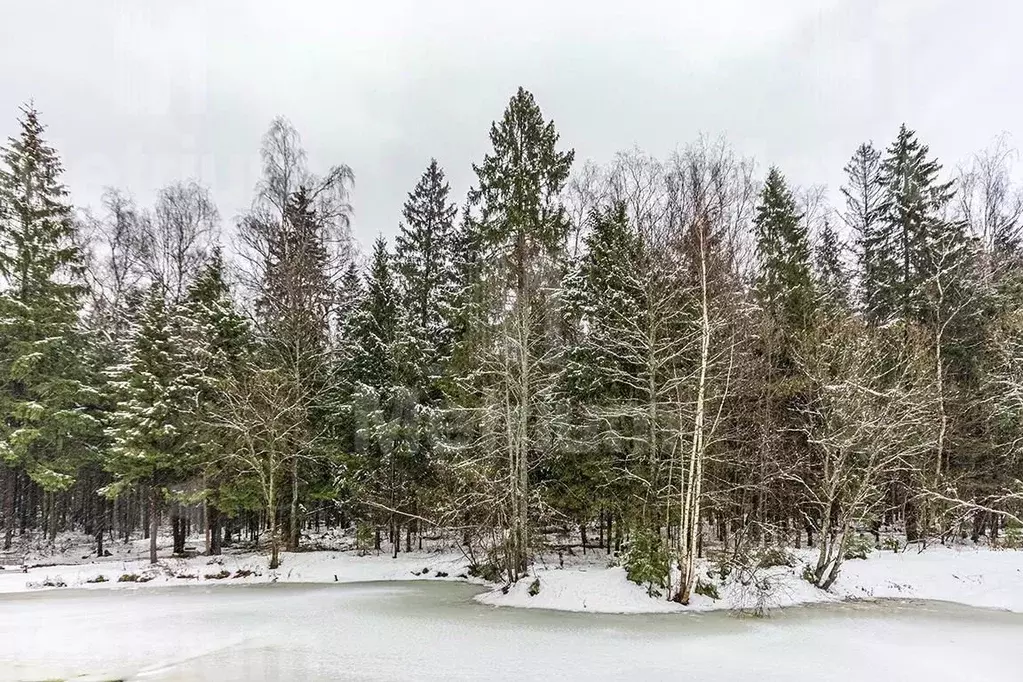 Участок в Московская область, Истра городской округ, д. Чесноково, ... - Фото 1