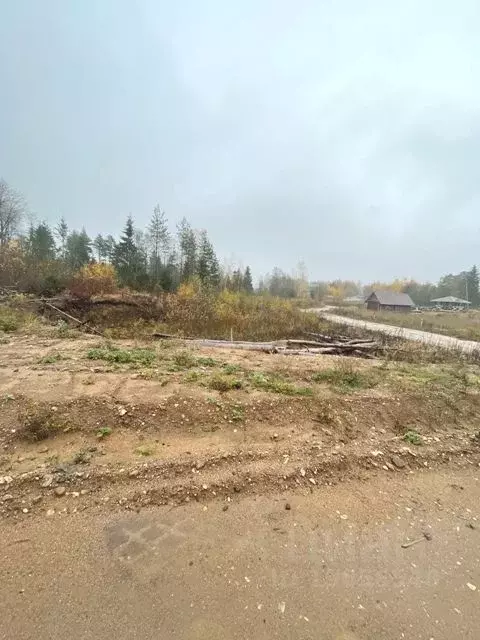 Участок в Новгородская область, Валдай ул. Алексея Маресьева (15.0 ... - Фото 1