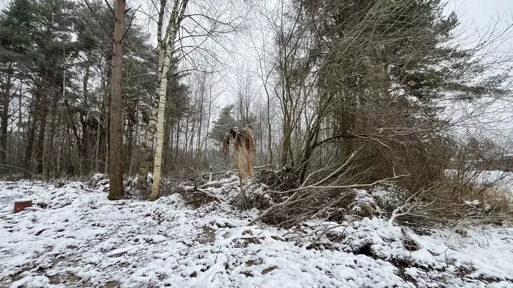 Участок в Ленинградская область, Шлиссельбург Кировский район, Зеленый ... - Фото 2