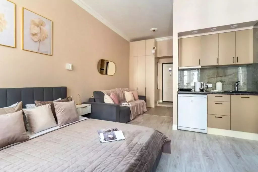 1-к кв. Санкт-Петербург Невский просп., 156Б (26.0 м) - Фото 0
