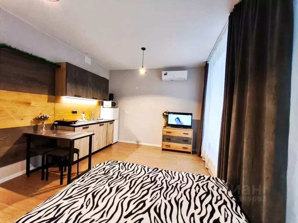 Студия Московская область, Ленинский городской округ, Мисайлово пгт, ... - Фото 1