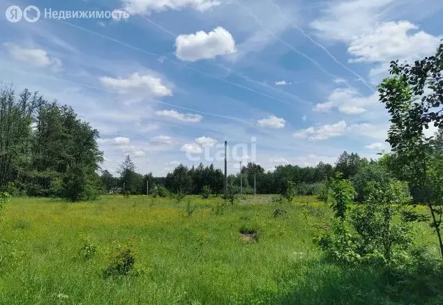Участок в Кузнецкий район, СНТ Пригородное (4 м) - Фото 1
