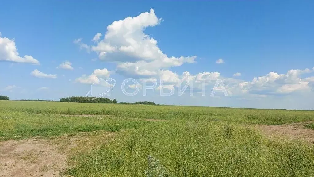 Участок в Тюменская область, Тюменский район, с. Горьковка  (13.09 ... - Фото 2