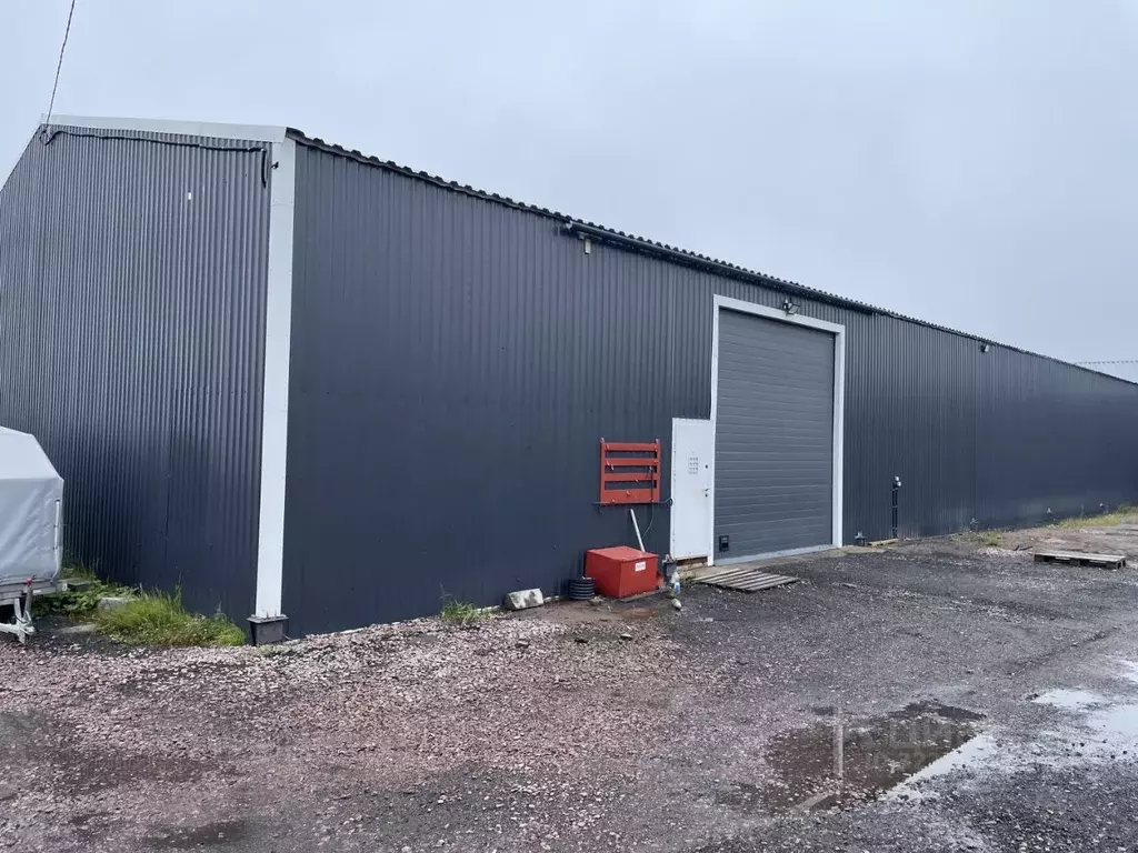 Помещение свободного назначения в Ленинградская область, Всеволожский ... - Фото 1